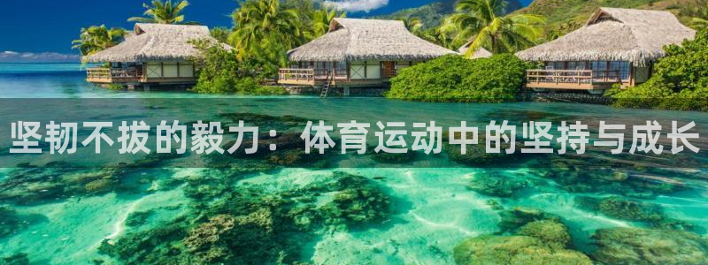 下载熊猫体育
