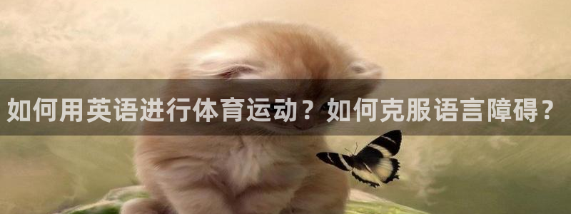 熊猫体育直播nba