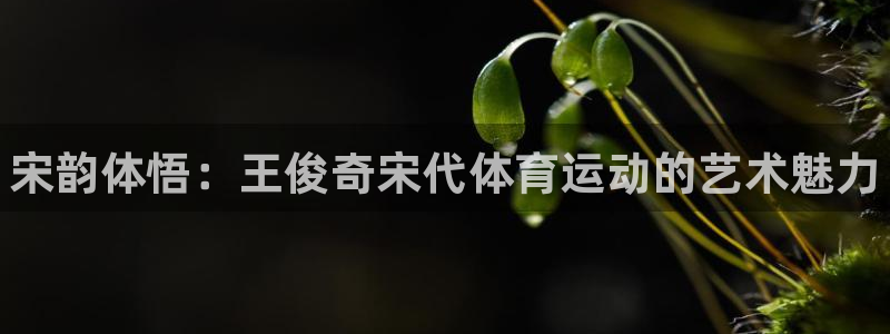 熊猫体育平台