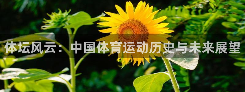 熊猫体育app官方下载最新版