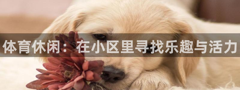 熊猫体育免费下载