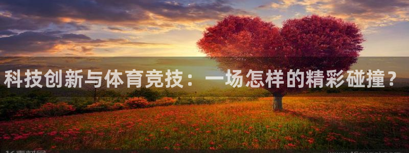 熊猫体育