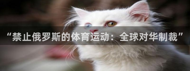 熊猫体育在线观看