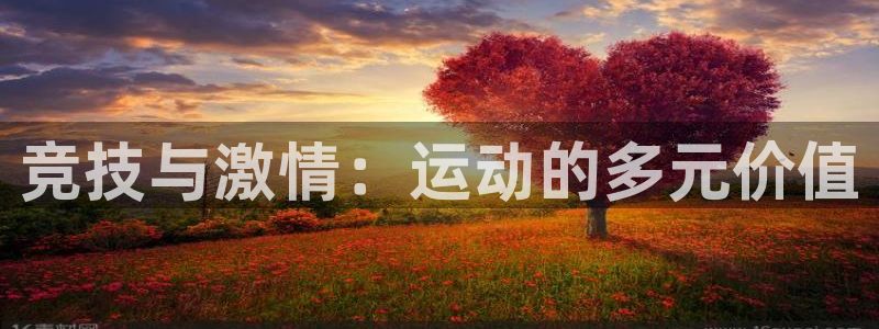 动感熊猫体育公园
