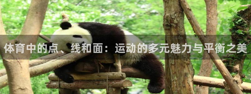 熊猫体育app官方入口