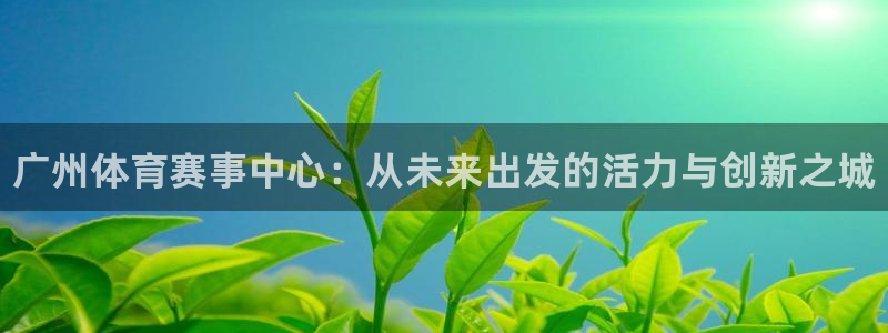 熊猫体育平台官网