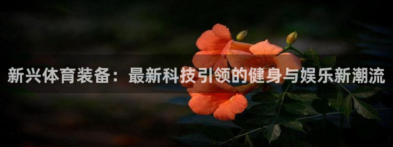 熊猫体育怎么样