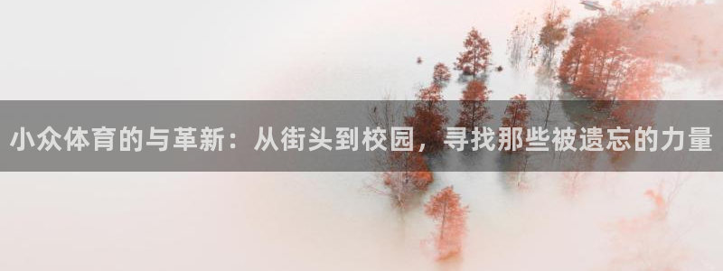 熊猫体育比赛直播