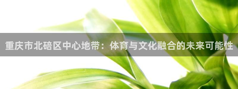 熊猫体育官网首页入口