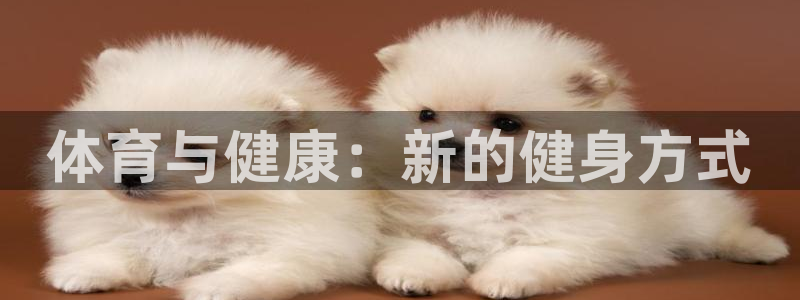 熊猫体育公园