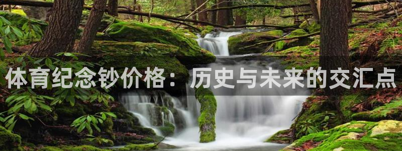 熊猫体育在线观看