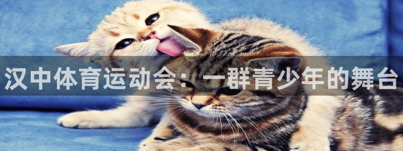 熊猫体育手机版