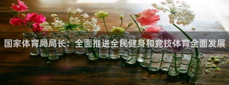 熊猫体育app下载安装