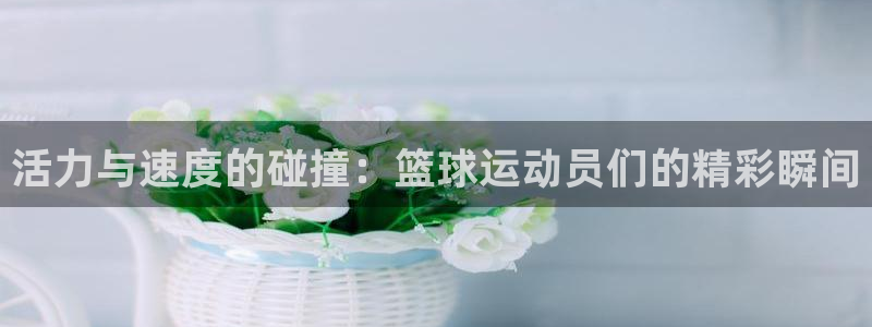 熊猫体育手机版